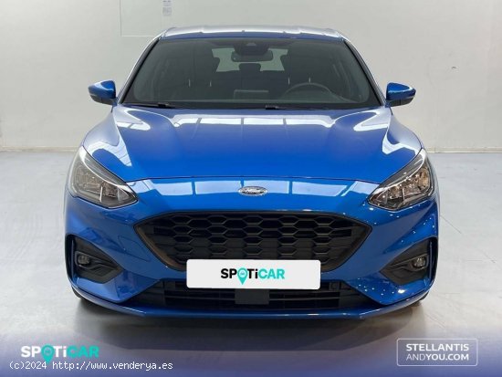 Ford Focus  1.0 Ecoboost MHEV 114kW ST-Line - Sevilla