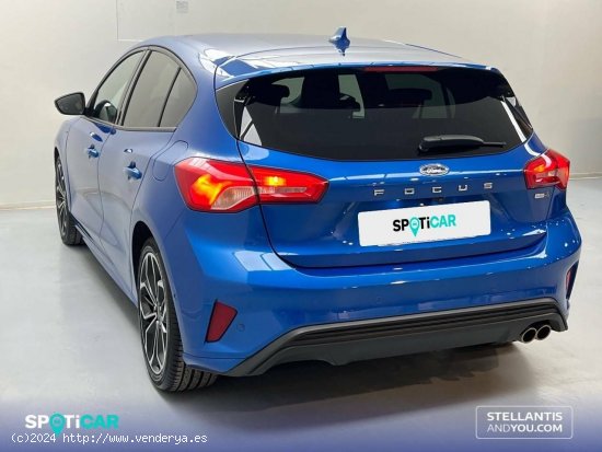 Ford Focus  1.0 Ecoboost MHEV 114kW ST-Line - Sevilla