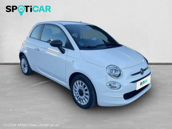 Fiat 500   1.0 Hybrid 51KW (70 CV) Cult - SANT FRUITOS DE BAGES