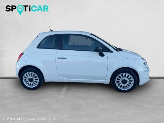 Fiat 500   1.0 Hybrid 51KW (70 CV) Cult - SANT FRUITOS DE BAGES