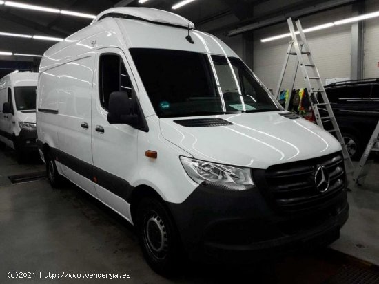 Mercedes Sprinter 316 Isotermo con frío - Daimiel