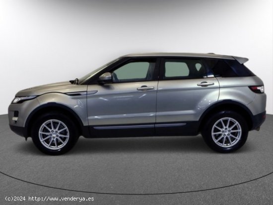 LAND ROVER Range Rover Evoque en venta en LalÃ­n (Pontevedra) - LalÃ­n