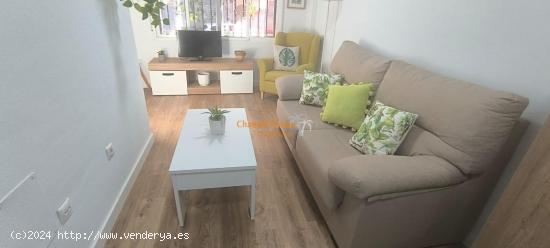 SE ALQUILA AMPLIO ESTUDIO CON PATIO, ZONA SECTOR V !!!!!! - ALICANTE