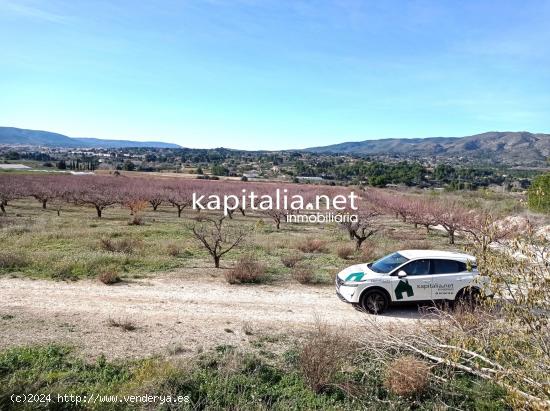  PARCELAS A LA VENTA EN LOS TERMINOS DE ONTINYENT Y AGULLENT, ZONA CALS XOPS Y CAL CANONGE - VALENCIA 