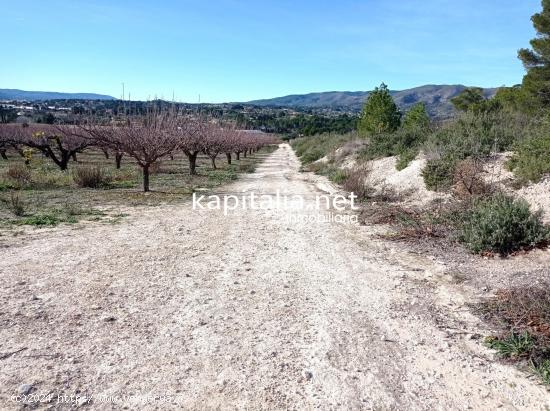 PARCELAS A LA VENTA EN LOS TERMINOS DE ONTINYENT Y AGULLENT, ZONA CALS XOPS Y CAL CANONGE - VALENCIA