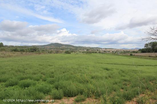 Terreno en Sant joan - BALEARES