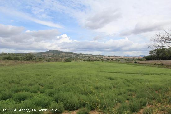 Terreno en Sant joan - BALEARES