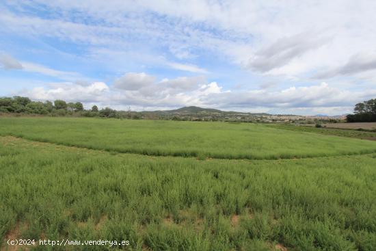 Terreno en Sant joan - BALEARES