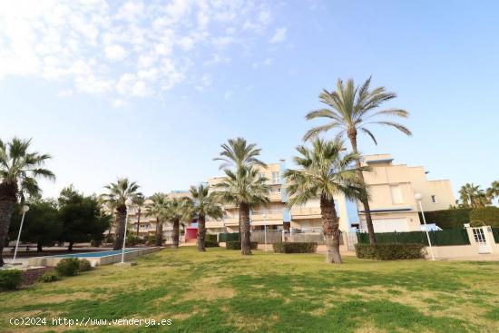 Apartamento TEMPORADAS. Calas de Campoamor en Cabo Roig - ALICANTE