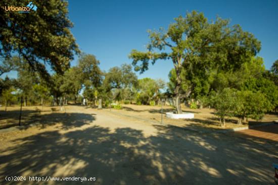 PRECIOSA PARCELA CON CHALET Y PISCINA EN UN PARAJE MUY TRANQUILO - BADAJOZ