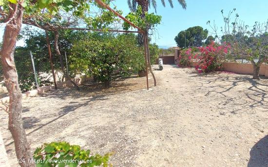 ++Chalet en Alguazas, zona Huerta++ - MURCIA