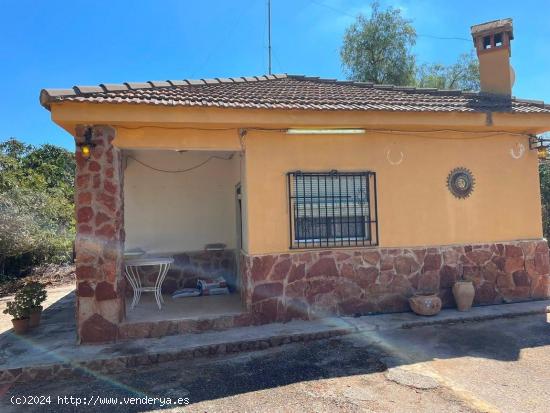 CHALET EN LA URBANIZACIÓN CAMP DE LLÍRIA - VALENCIA