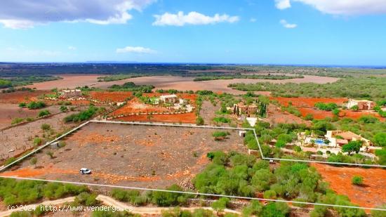 Terreno rústico con proyecto aprobado - BALEARES