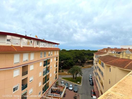 Apartamento 2 dormitorios, 1 baño, 600 m. de la playa - ALICANTE