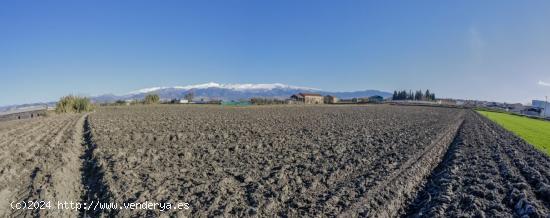 FINCA RUSTICA EN CÚLLAR VEGA - GRANADA