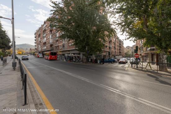 LOCAL COMERCIAL EN GRANADA - GRANADA