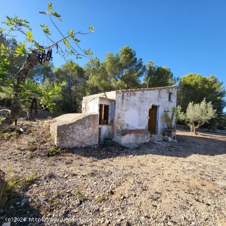 Finca Rústica con caseta de campo para rehabilitar, vistas mar y montaña - TARRAGONA