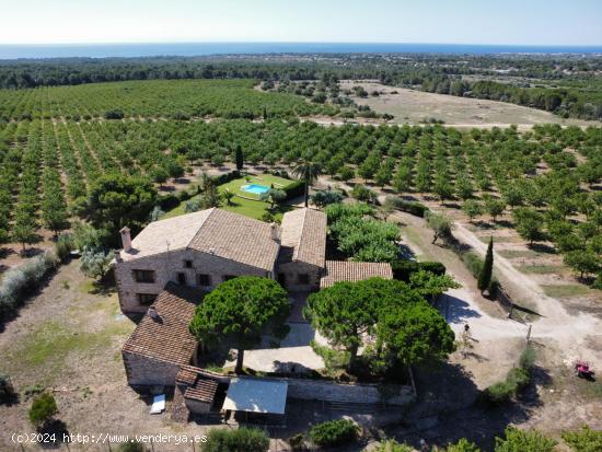  Única Villa de 900m² en Parcela de 1 ha + 90.000m² de Terreno, con Vistas al Mar, Delta del Ebro  