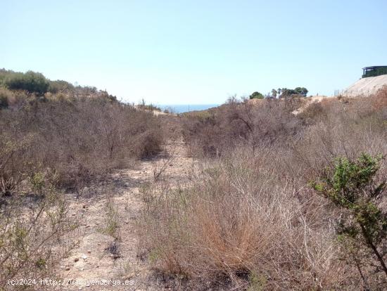 5500 METROS DE TERRENO A 2 MINUTOS DE LA PLAYA - MURCIA