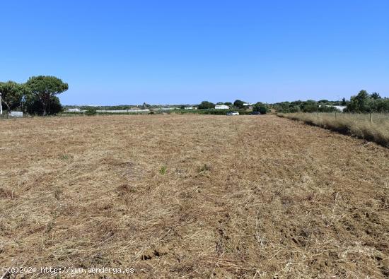 PARCELA EN VENTA EN EL PAGO DE HUMO - CADIZ