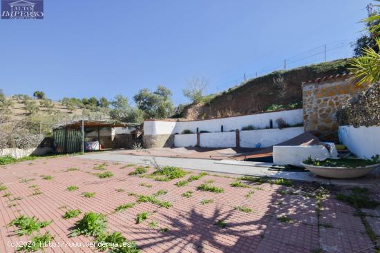 CORTIJO CON FINCA DE OLIVOS - GRANADA