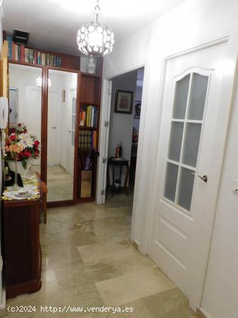 VENTA PISO 118 M2 EN PASEO ALFONDO XIII 4 DORMITORIOS CON GARAJE Y TRASTERO - MURCIA