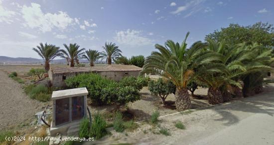 PARCELA DE CULTIVO CON ALMACENES Y PORCHE - MURCIA