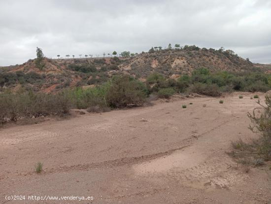  TERRENO RURAL JUNTO AL CENTRO DE PUERTO LUMBRERAS - MURCIA 