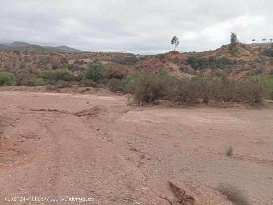 TERRENO RURAL JUNTO AL CENTRO DE PUERTO LUMBRERAS - MURCIA