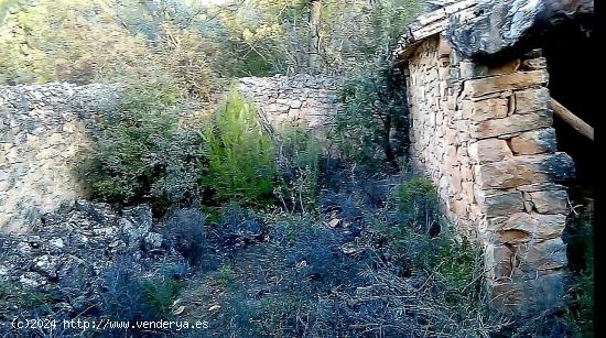 Finca en la montaña con privacidad - TERUEL