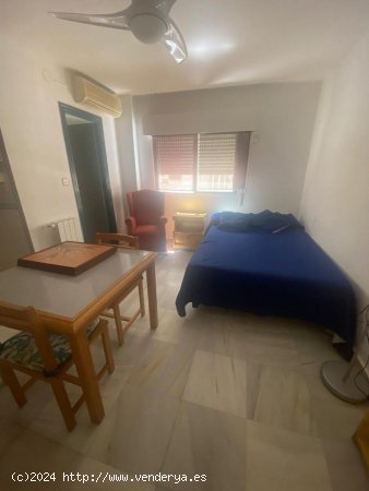 Estudio en alquiler en Granada (Granada)