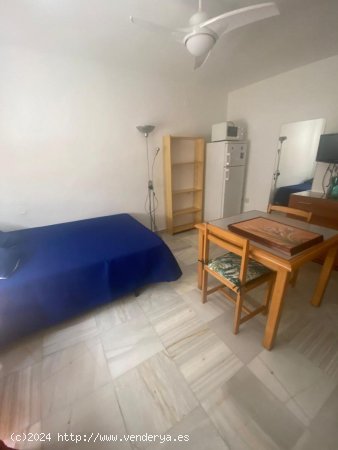 Estudio en alquiler en Granada (Granada)