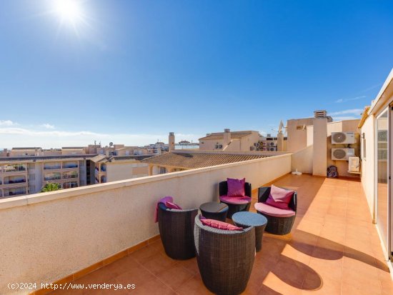 Apartamento en venta en Orihuela (Alicante)