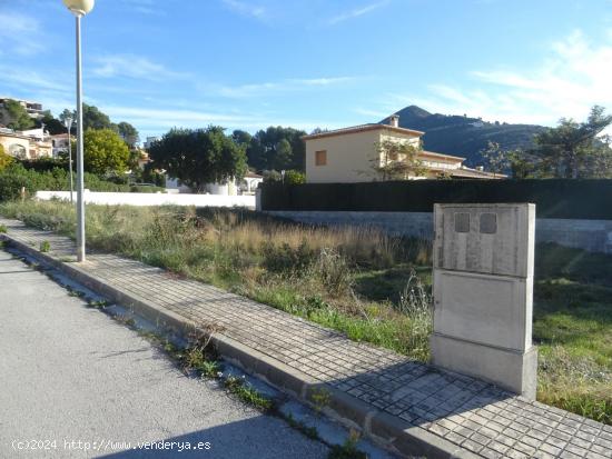 Parcela urbana de 452m2 ubicada en Alcalali. - ALICANTE