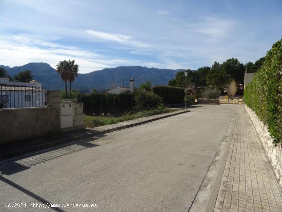 Parcela urbana de 394m2 ubicada en Alcalali. - ALICANTE