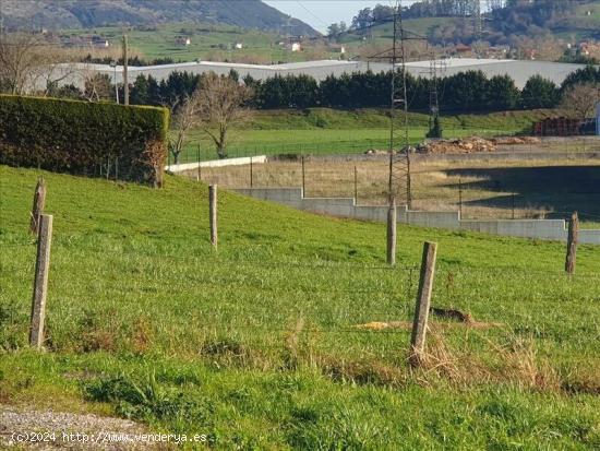 Suelo en SITIO DE LA LLAMA, Penagos - CANTABRIA