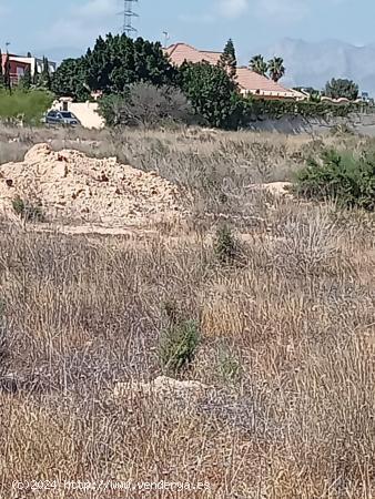 SUELO EN GIRASOLES - ALICANTE