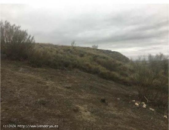 TERRENO URBANO EN ILLANA, GUADALAJARA - GUADALAJARA