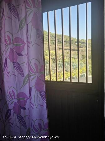 Se vende casa canaria en Chiguergue Guia de Isora. - SANTA CRUZ DE TENERIFE