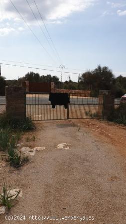 Venta de finca 230.000 m2 - 292m2 edificables - Llucmajor - BALEARES