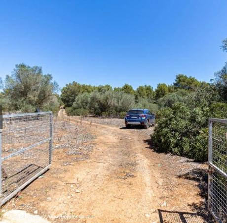 ¡Atención! Terreno edificable en Cala Romántica - BALEARES