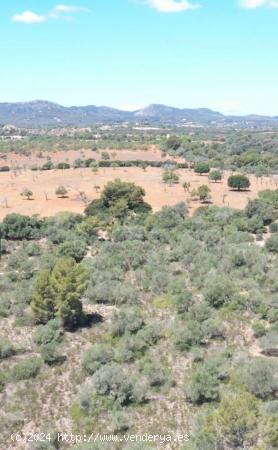 ¡Atención! Terreno edificable en Cala Romántica - BALEARES