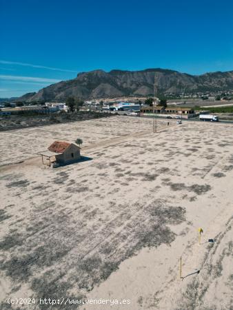  TERRENO CON MÁS DE 27.000M2 EN ORIHUELA- PÓLIGONO REDOVÁN. - ALICANTE 