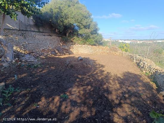 Caseta de aperos con agua del pueblo - BALEARES