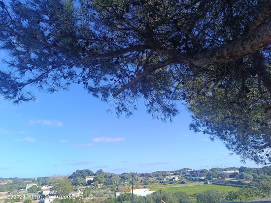 Caseta de aperos con agua del pueblo - BALEARES