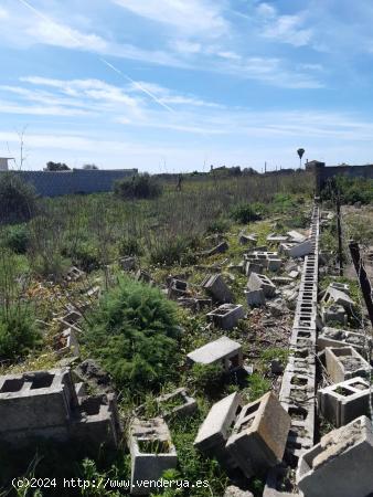 PARCELA EN ZONA CAMINO DEL JUNCAL - CADIZ