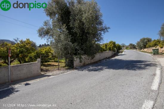 VENTA DE ESTUPENDO TERRENO URBANO EN EL VALLE - GRANADA