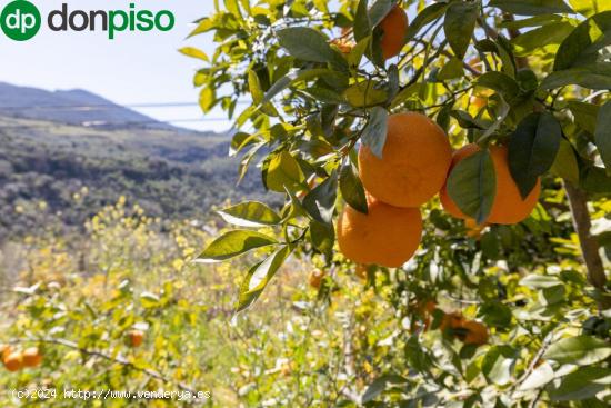 VENTA DE ESTUPENDO TERRENO URBANO EN EL VALLE - GRANADA