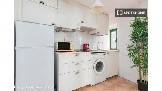 Apartamento entero de 1 dormitorio en Barcelona - BARCELONA