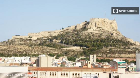 Piso entero de 4 habitaciones en Alacant - ALICANTE